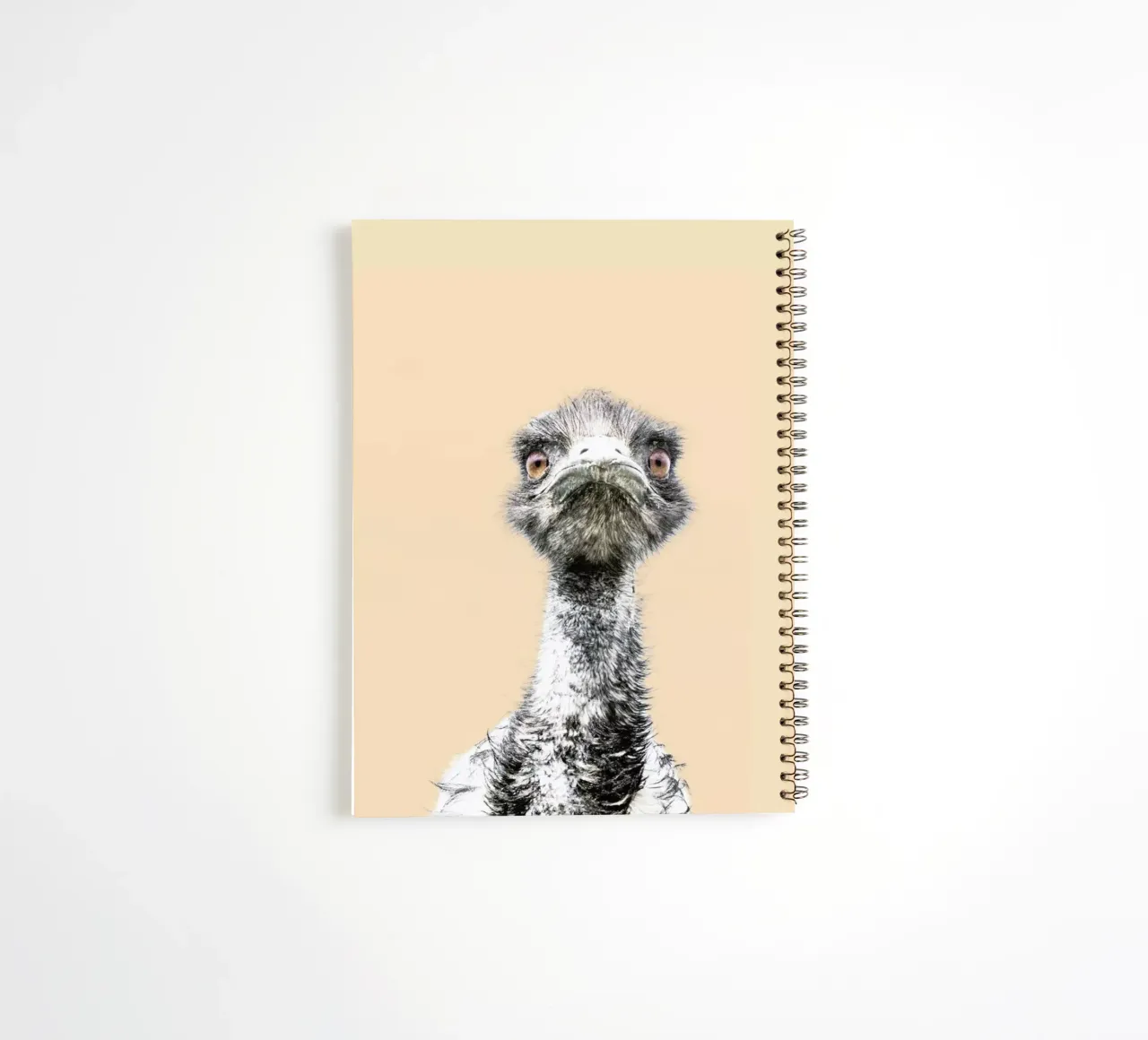 Orange Emu spiral notebook by Victoria Frost