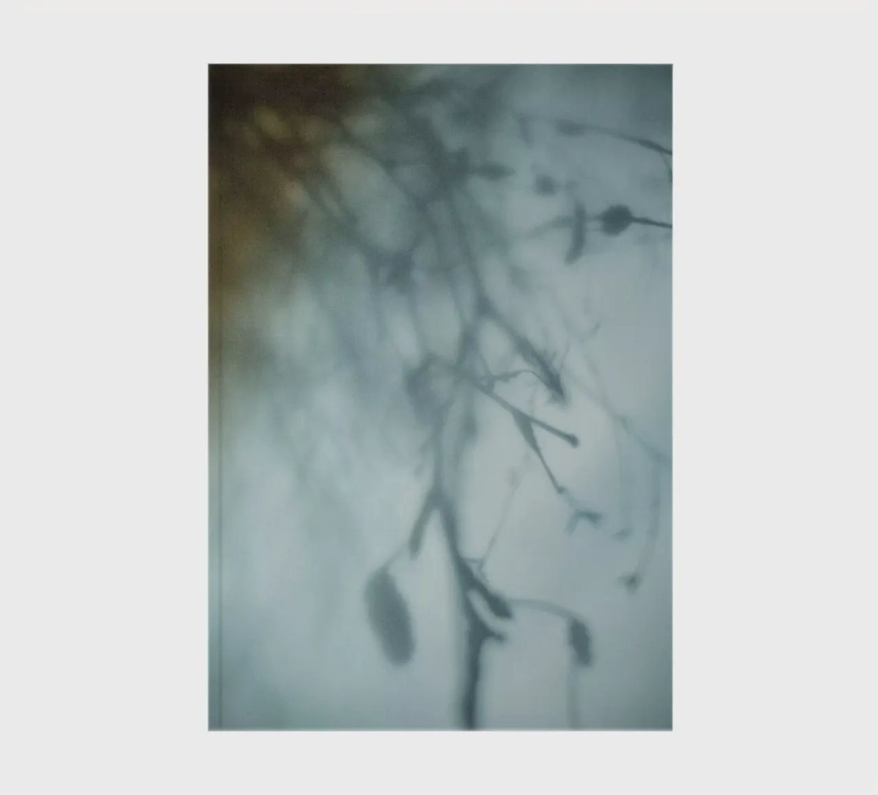 Hanging Birch notebook by Klaus with K