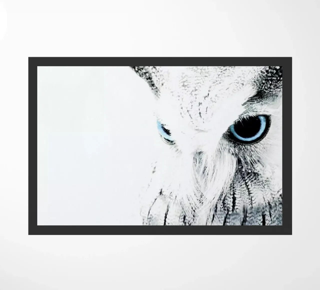 Owl II zerbino da Victoria Frost