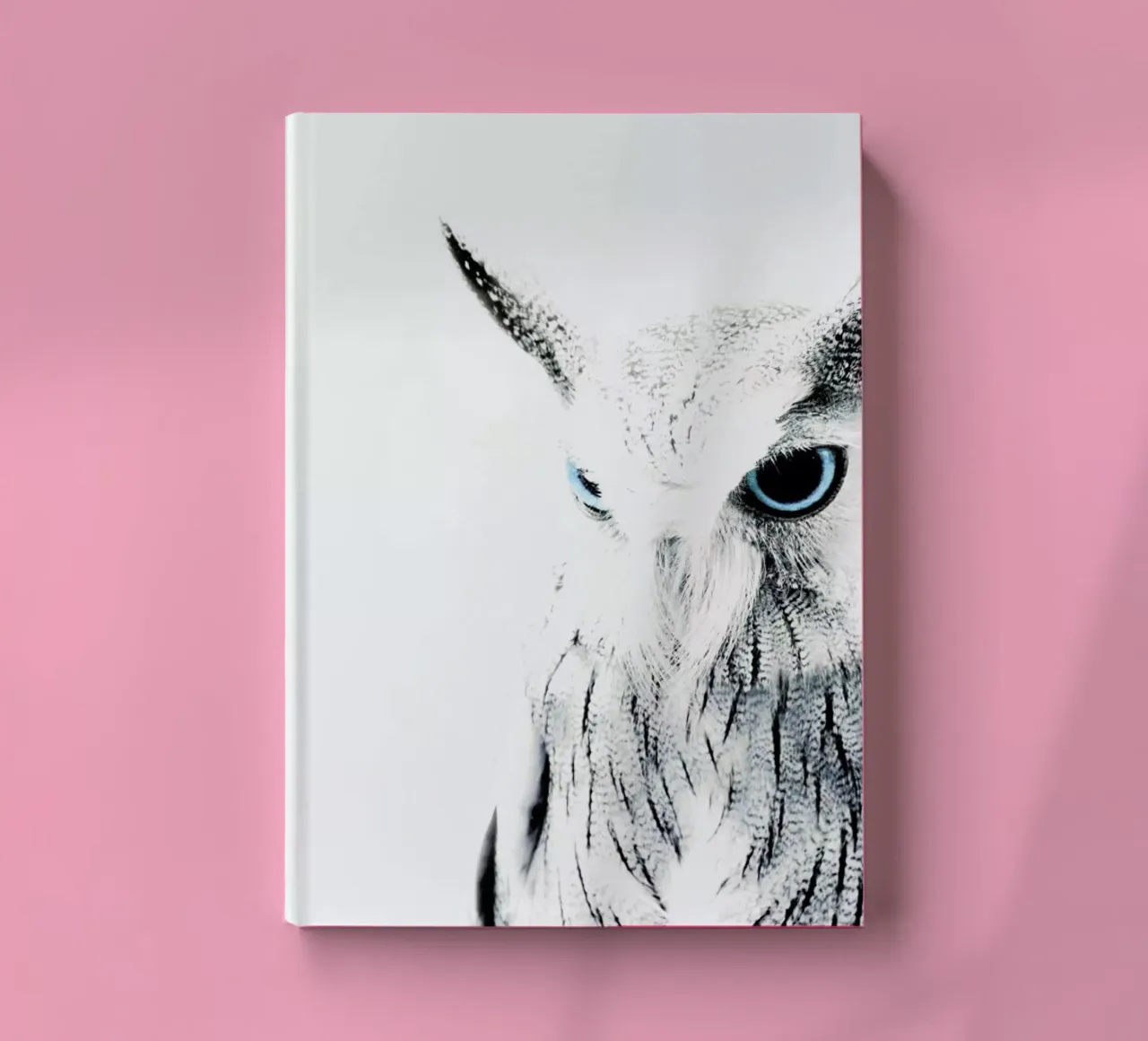 Owl II notebook by Victoria Frost