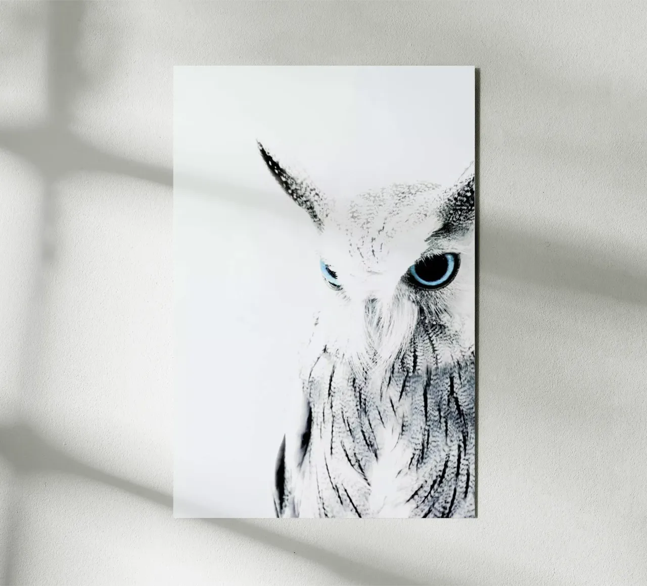 Owl II alluminio dibond da Victoria Frost
