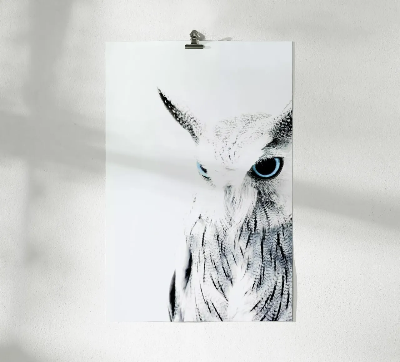 Owl II carta hahnemühle da Victoria Frost