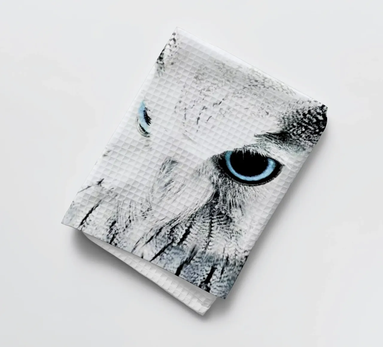 Owl II canovaccio da cucina da Victoria Frost