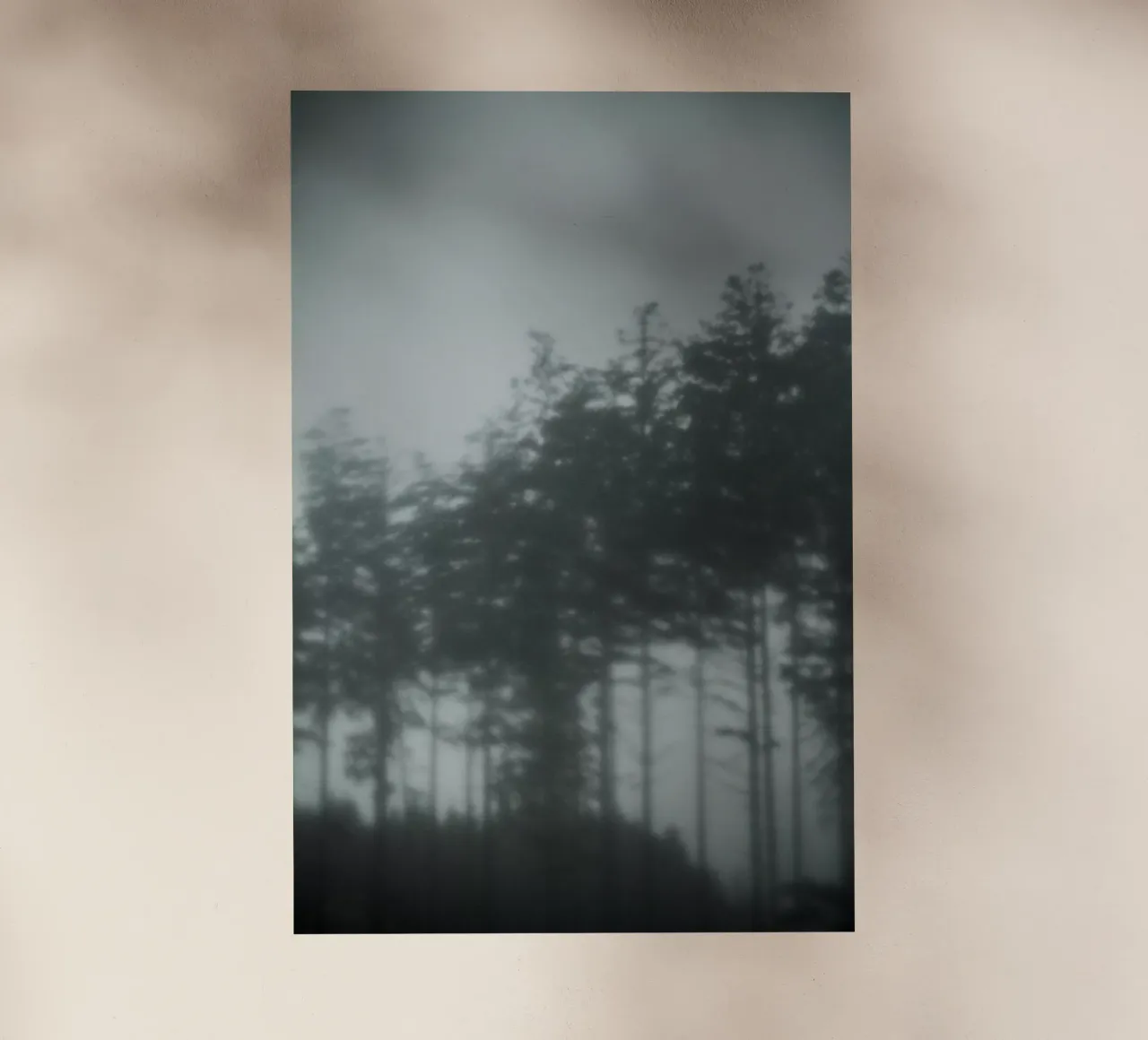 Pine Trees pellicola backlit da Klaus with K