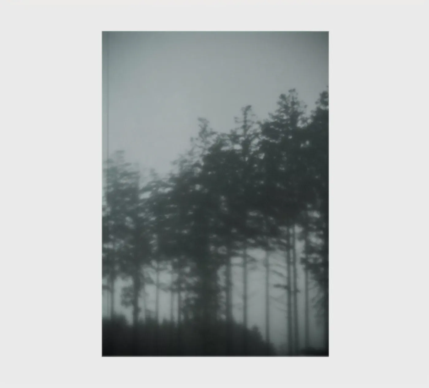 Pine Trees notebook by Klaus with K