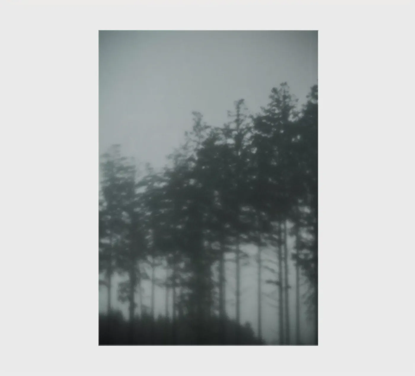 Pine Trees notebook by Klaus with K
