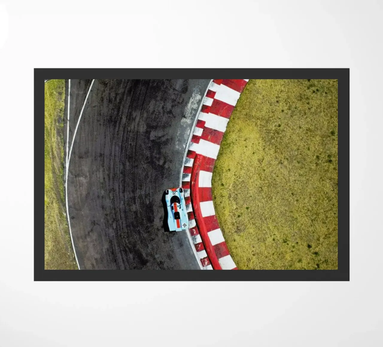 P20 zerbino da ROBERTO H