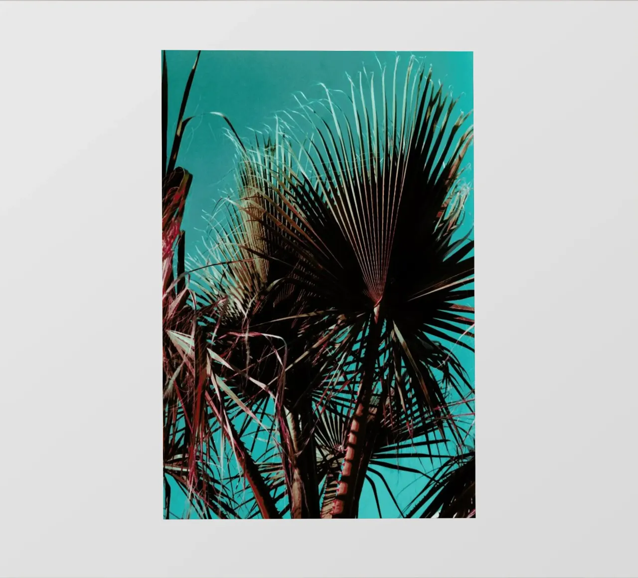 Palms V pellicola backlit da Sebastian Hilgetag