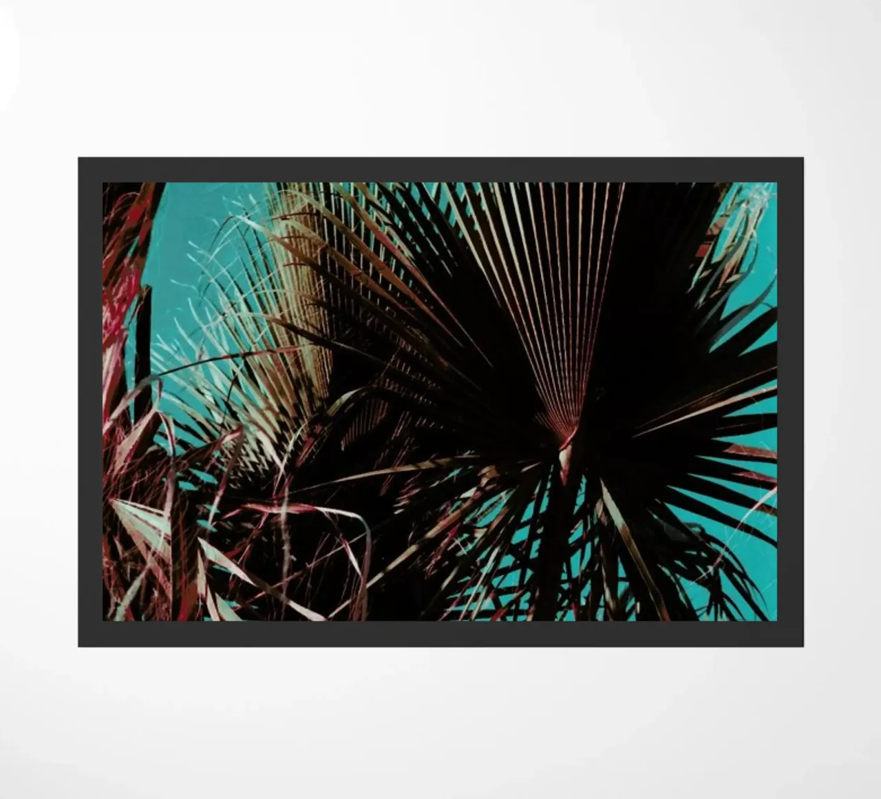 Palms V zerbino da Sebastian Hilgetag