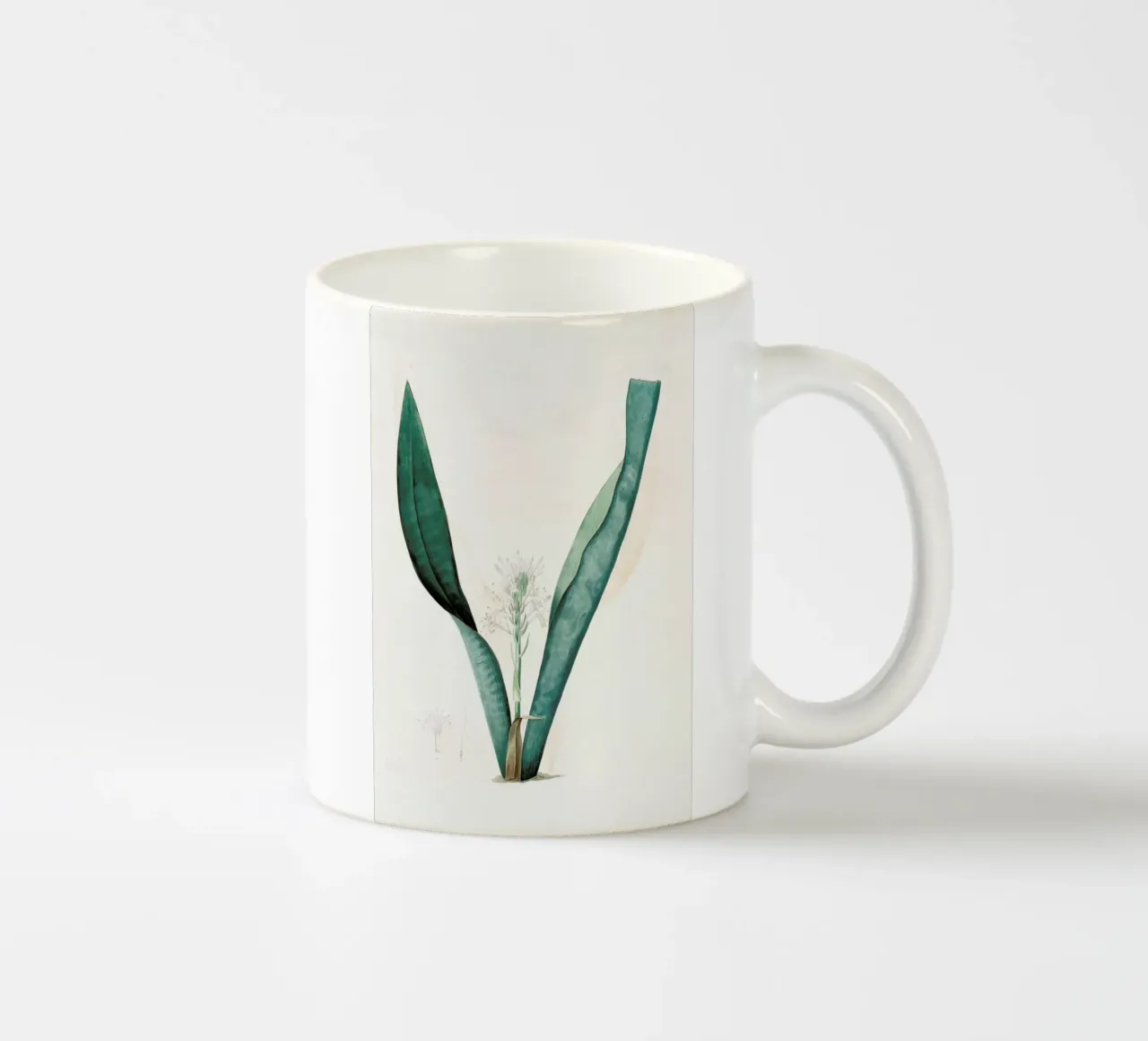 Sanseviera guineensis, African Hemp - Pierre Joseph ceramic mug by Artokoloro Quint Lox Ltd