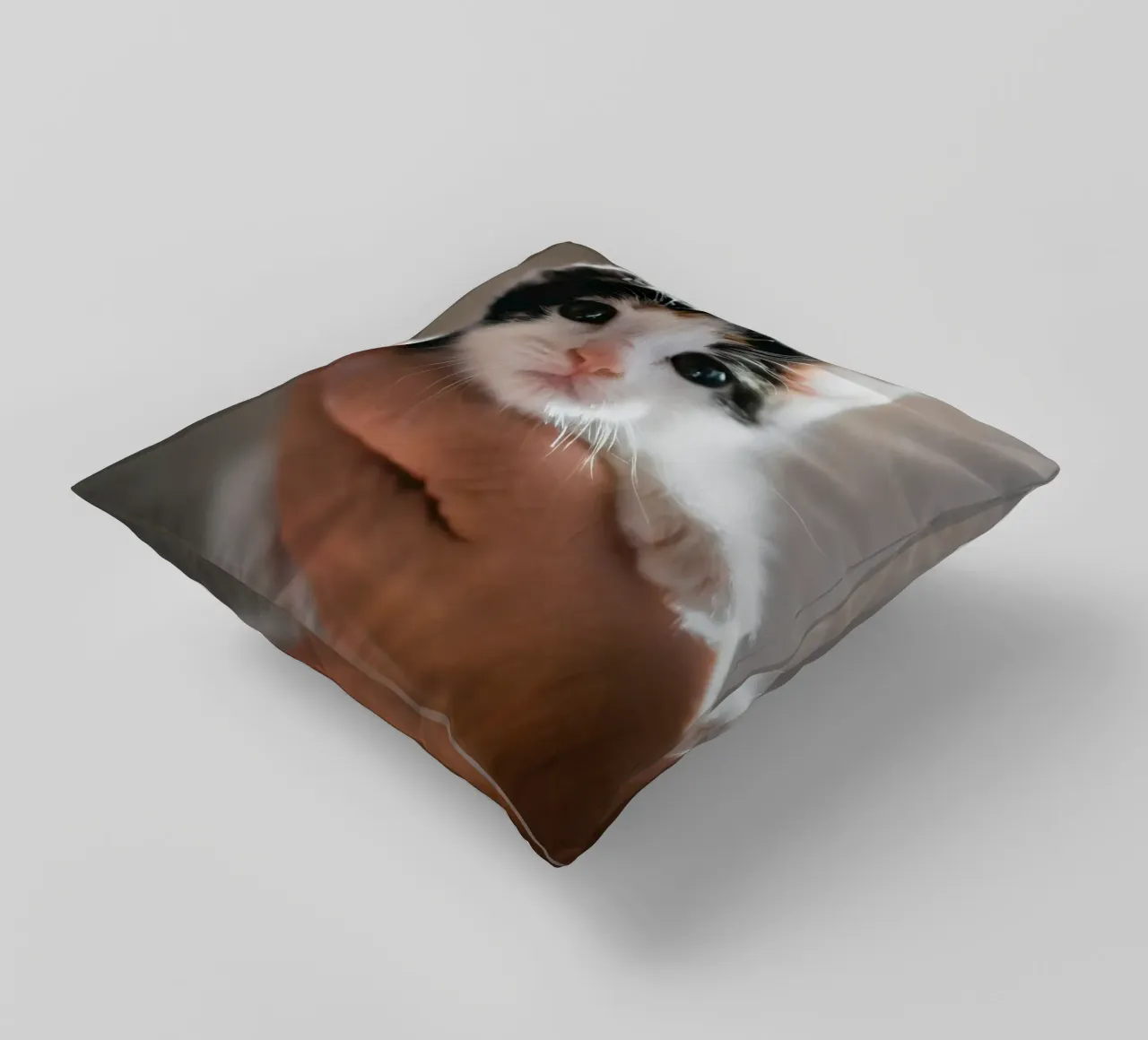 gattini cuscino da rafael campezato