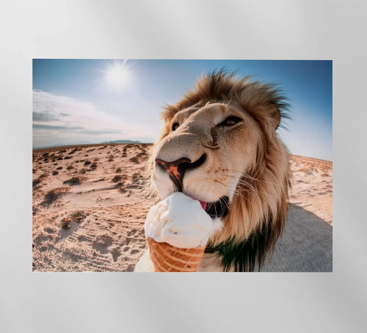 refreshing backlit folie van rafael campezato