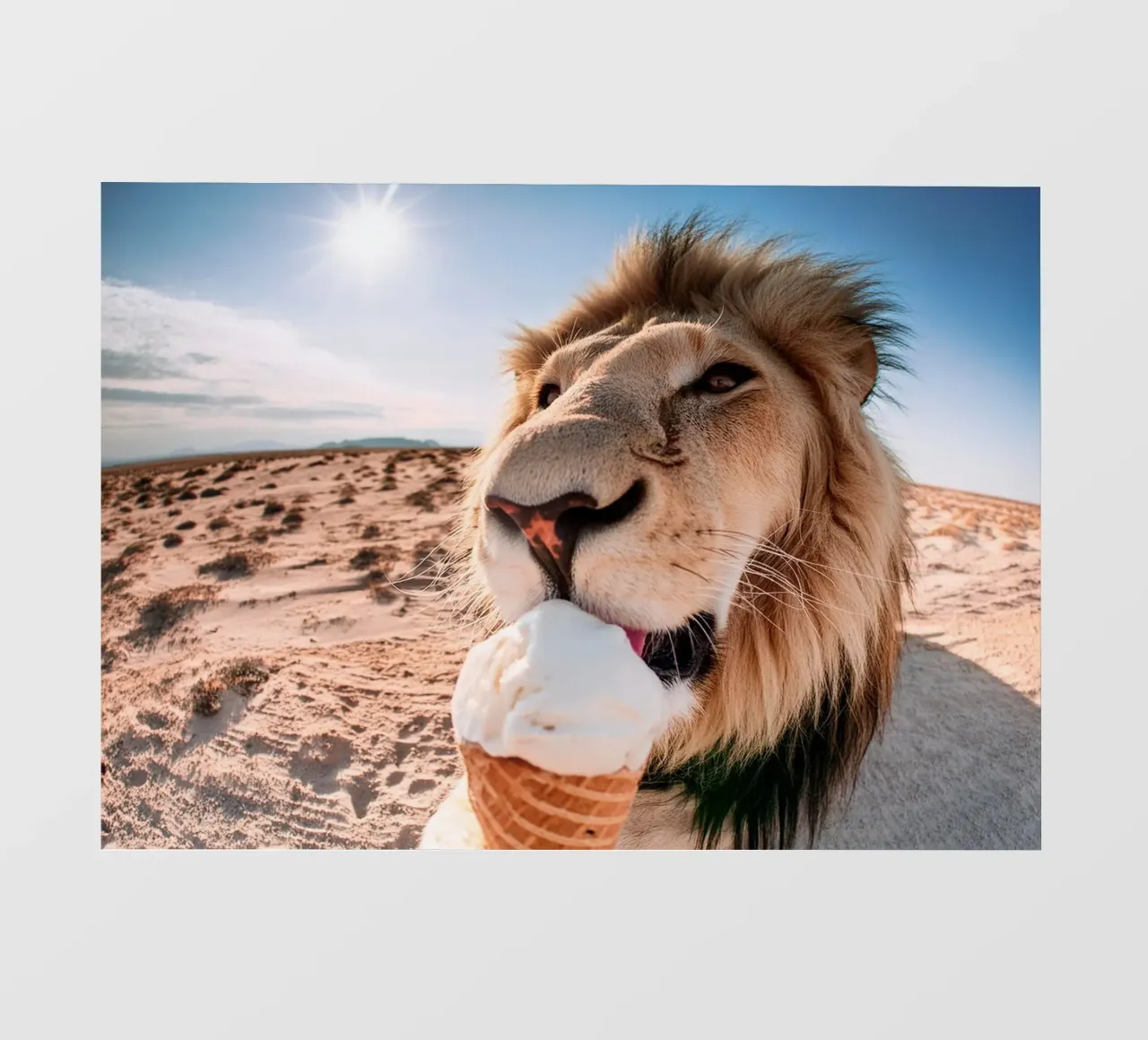 refreshing backlit folie van rafael campezato