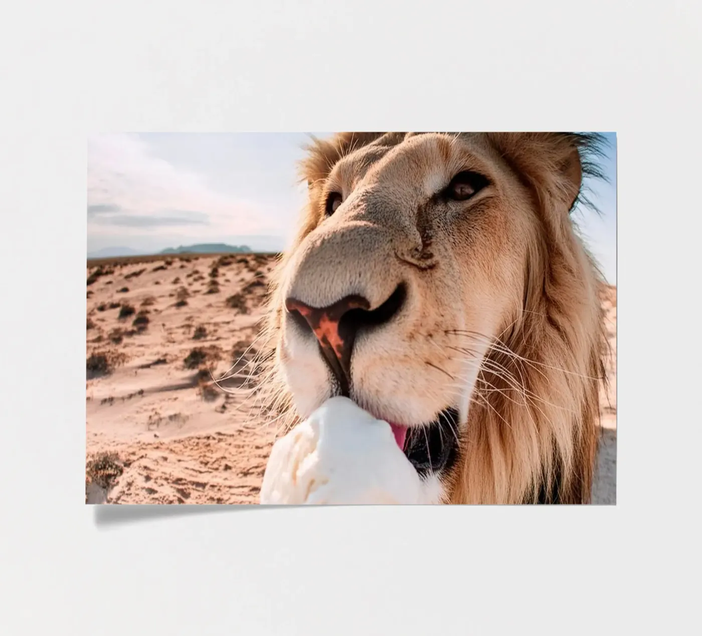 verfrissend stickervel van rafael campezato