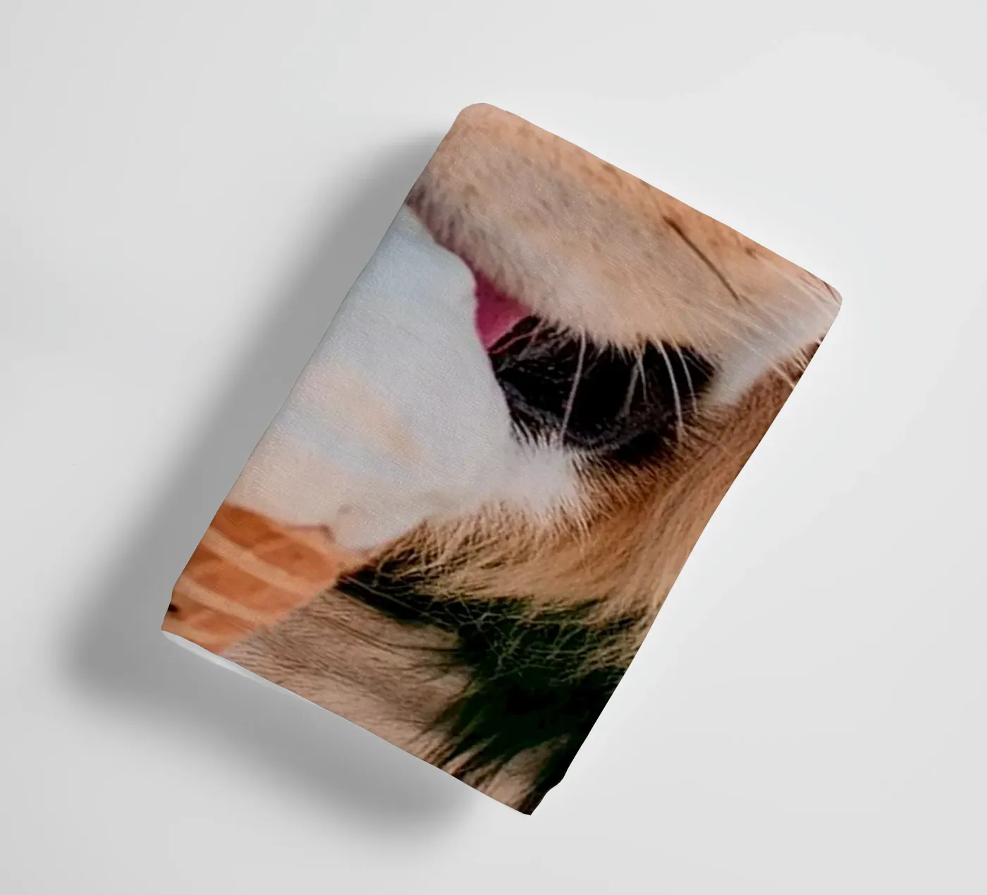 refreshing towel by rafael campezato