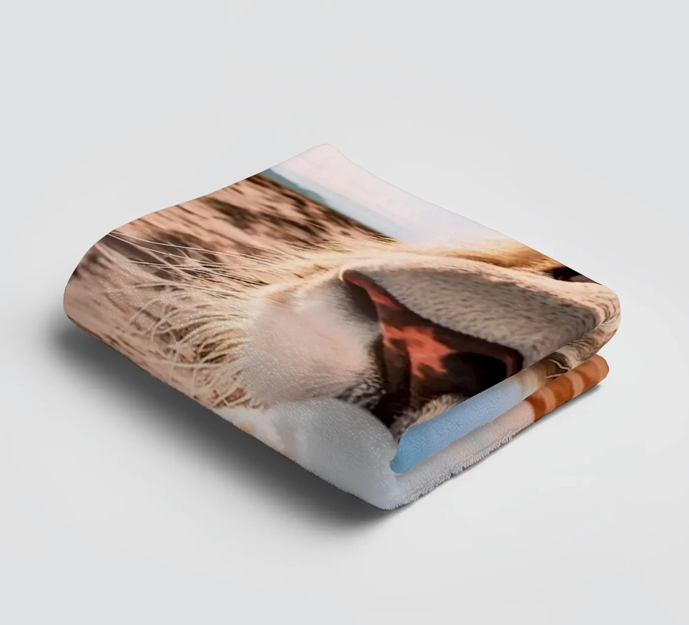 refreshing towel by rafael campezato