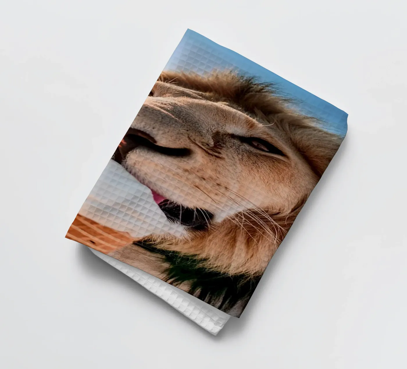 refreshing tea towel by rafael campezato