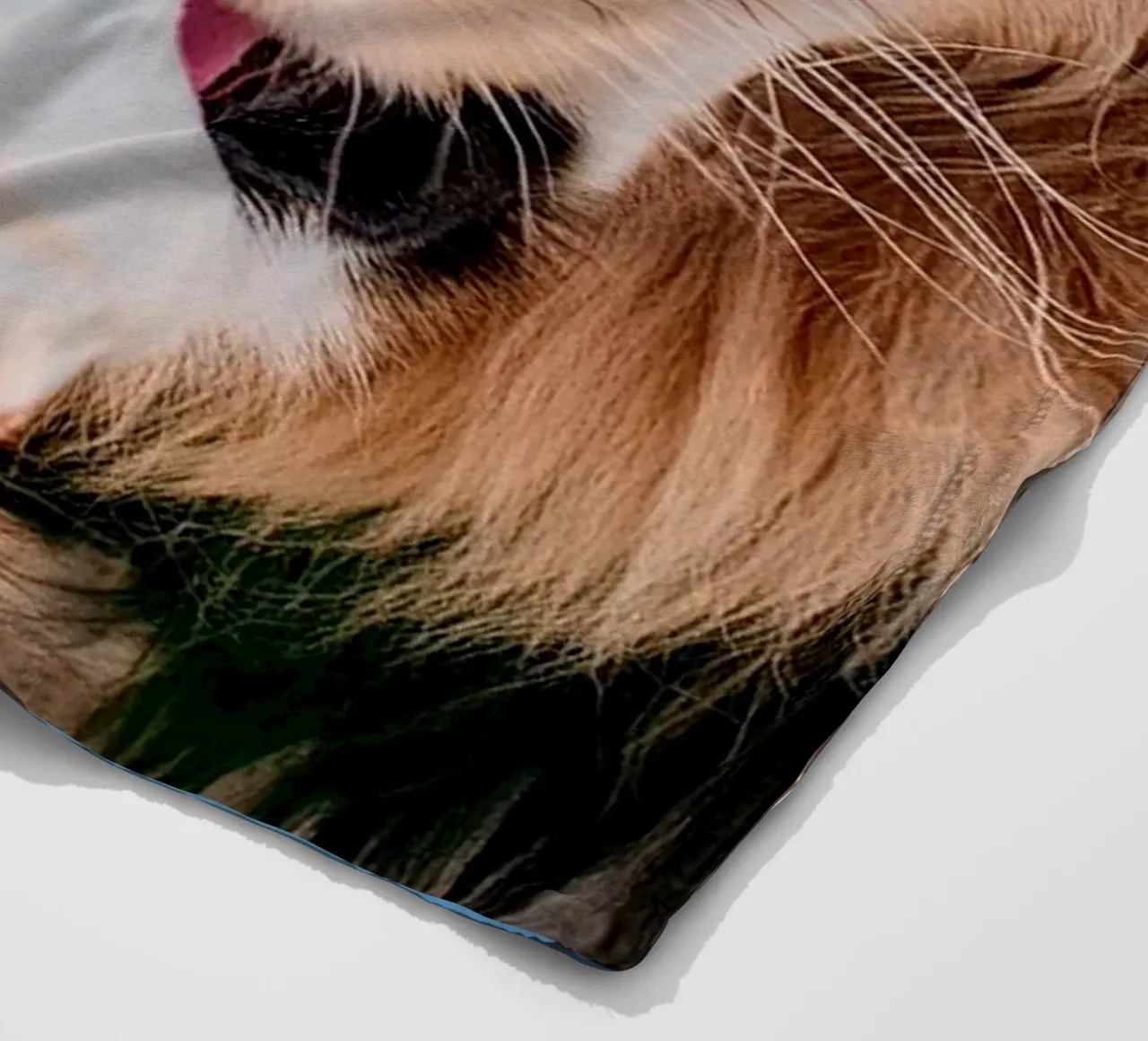 refreshing fleece blanket by rafael campezato