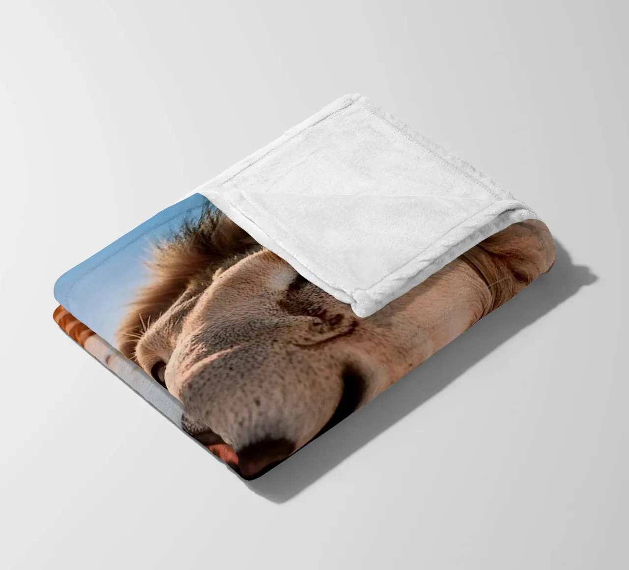 refreshing fleece blanket by rafael campezato