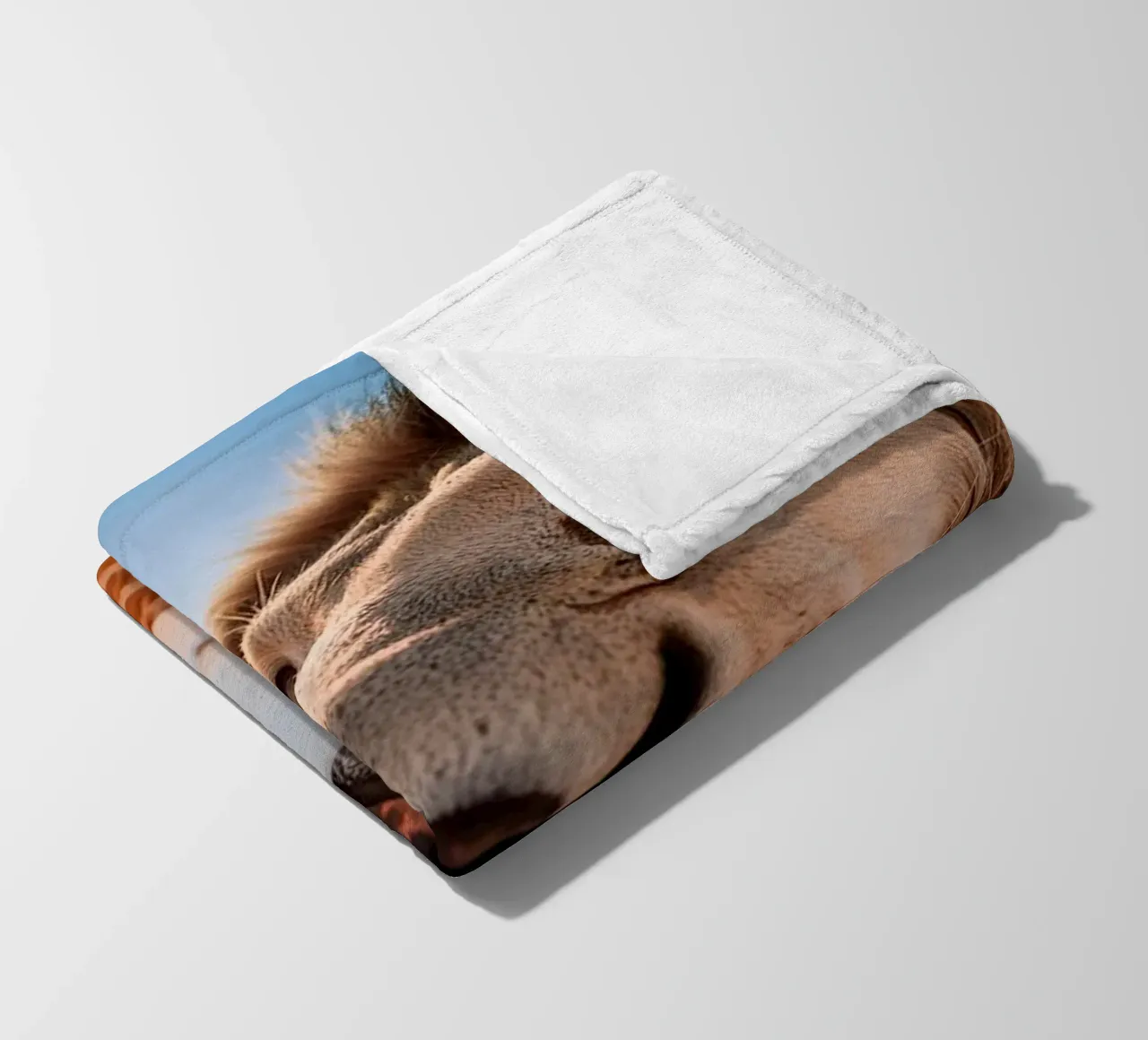 refreshing fleece blanket by rafael campezato