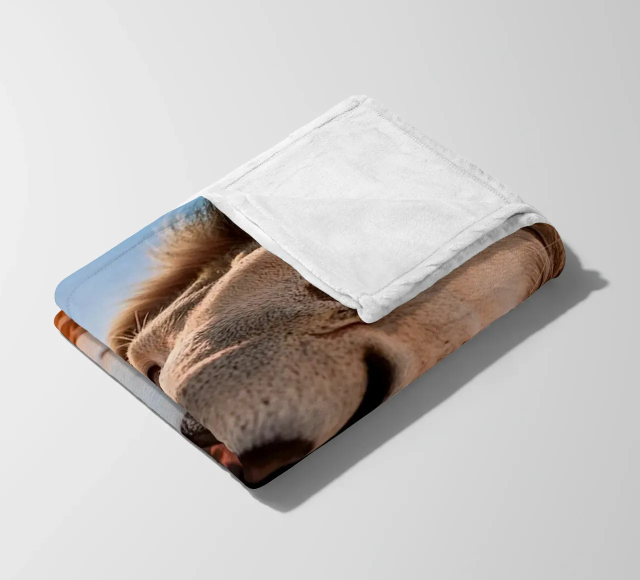 refreshing fleece blanket by rafael campezato