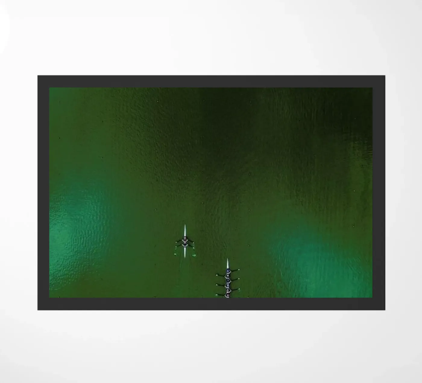 Green Team zerbino da ROBERTO H