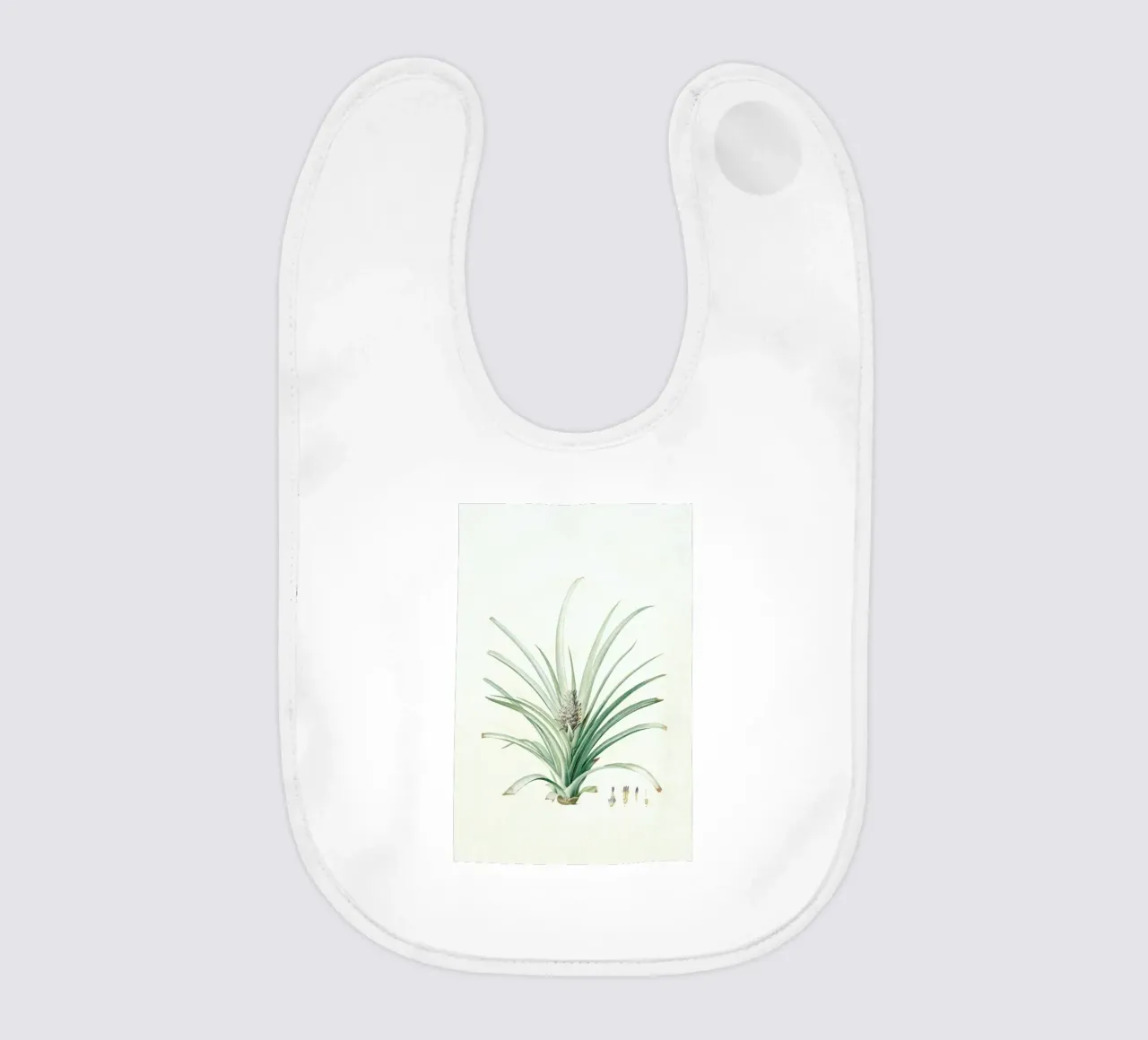 Bromella ananas, Ananas Sativus -Pierre Joseph, bavaglino da Artokoloro Quint Lox Ltd