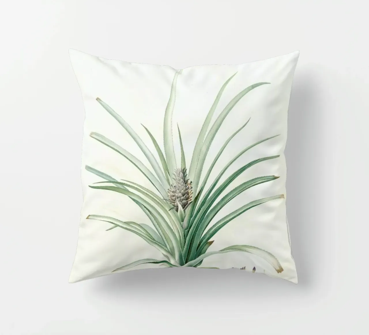 Bromella ananas, Ananas Sativus -Pierre Joseph, cuscino da Artokoloro Quint Lox Ltd