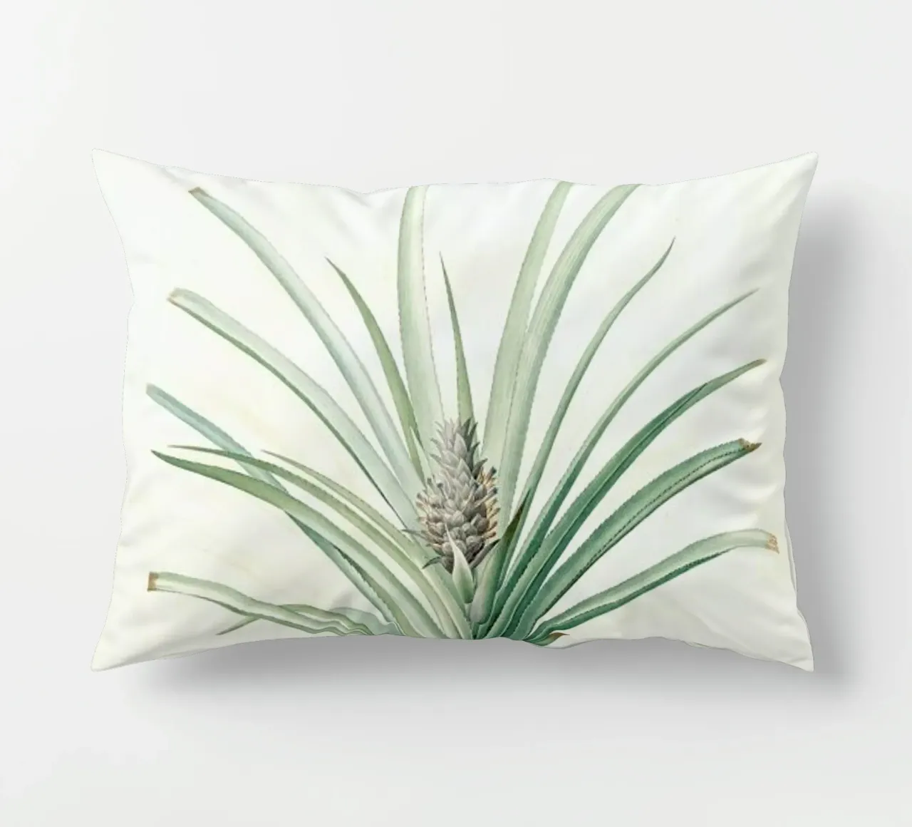 Bromella ananas, Ananas Sativus -Pierre Joseph, cuscino da Artokoloro Quint Lox Ltd