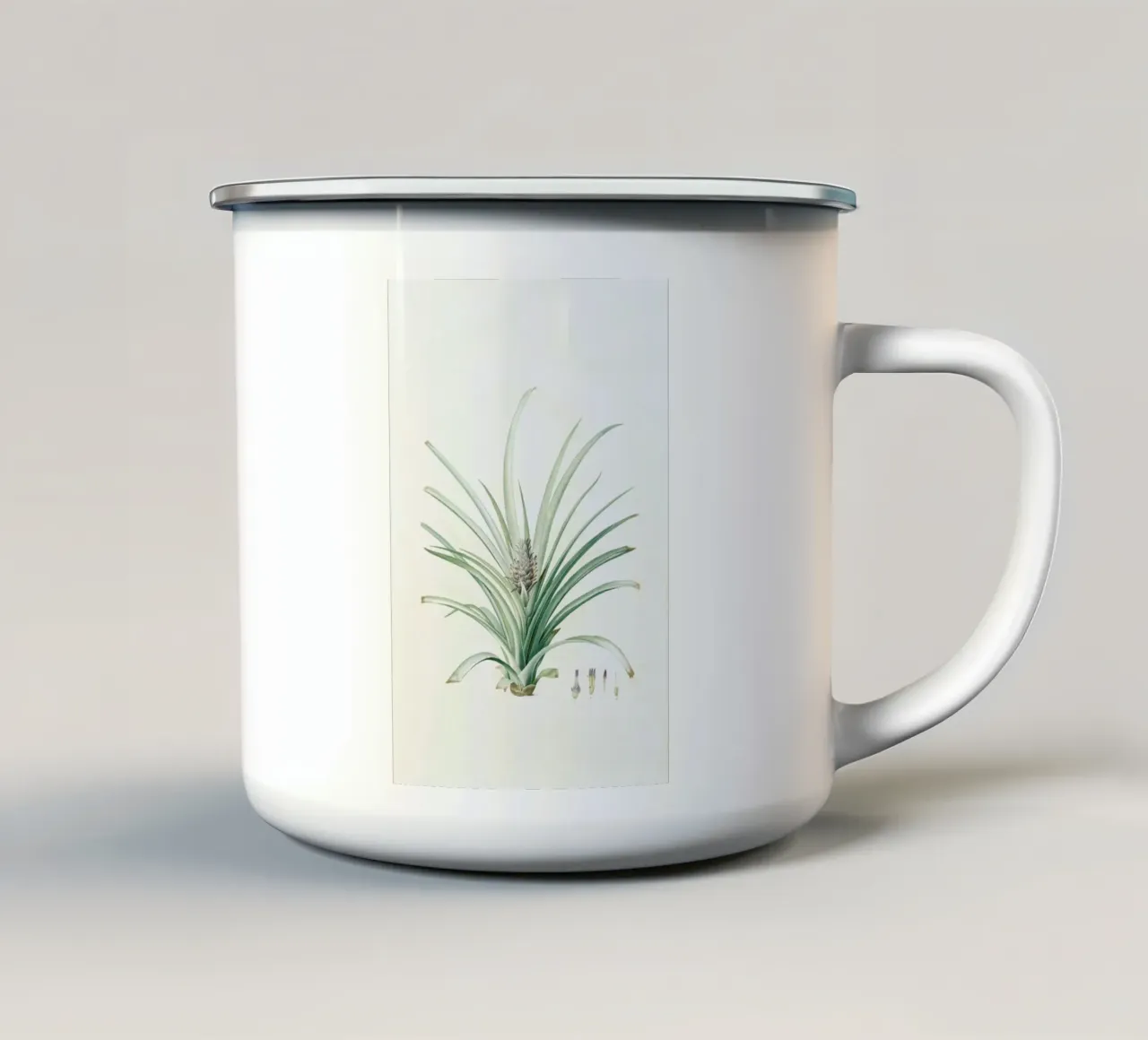 Bromella ananas, Ananas Sativus -Pierre Joseph, tazza in smalto da Artokoloro Quint Lox Ltd
