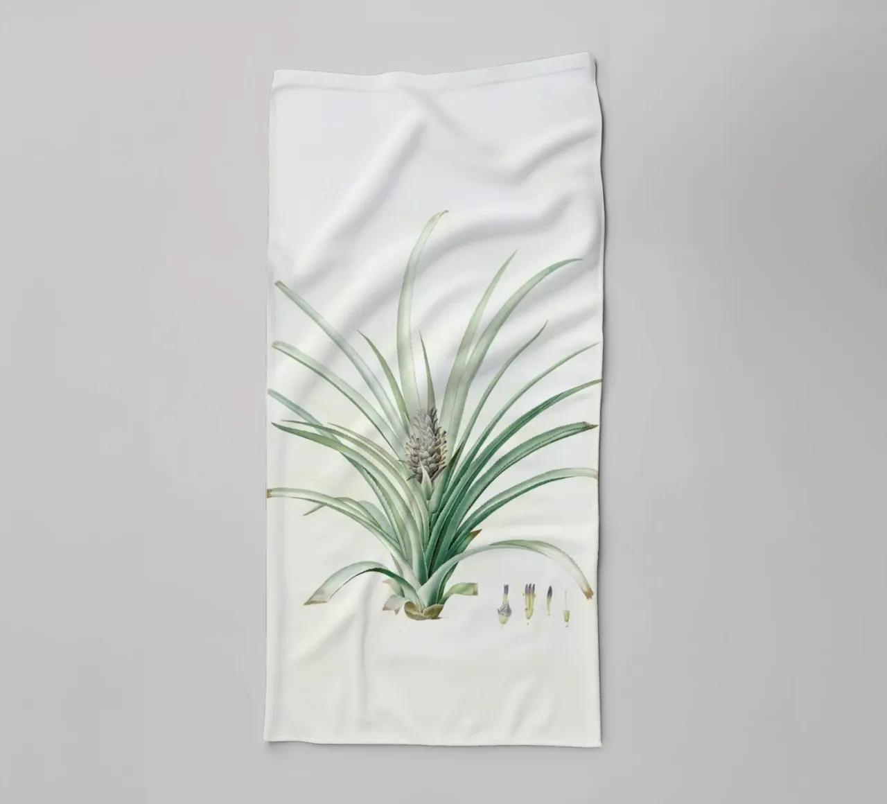 Bromella ananas, Ananas Sativus -Pierre Joseph, asciugamano da bagno da Artokoloro Quint Lox Ltd