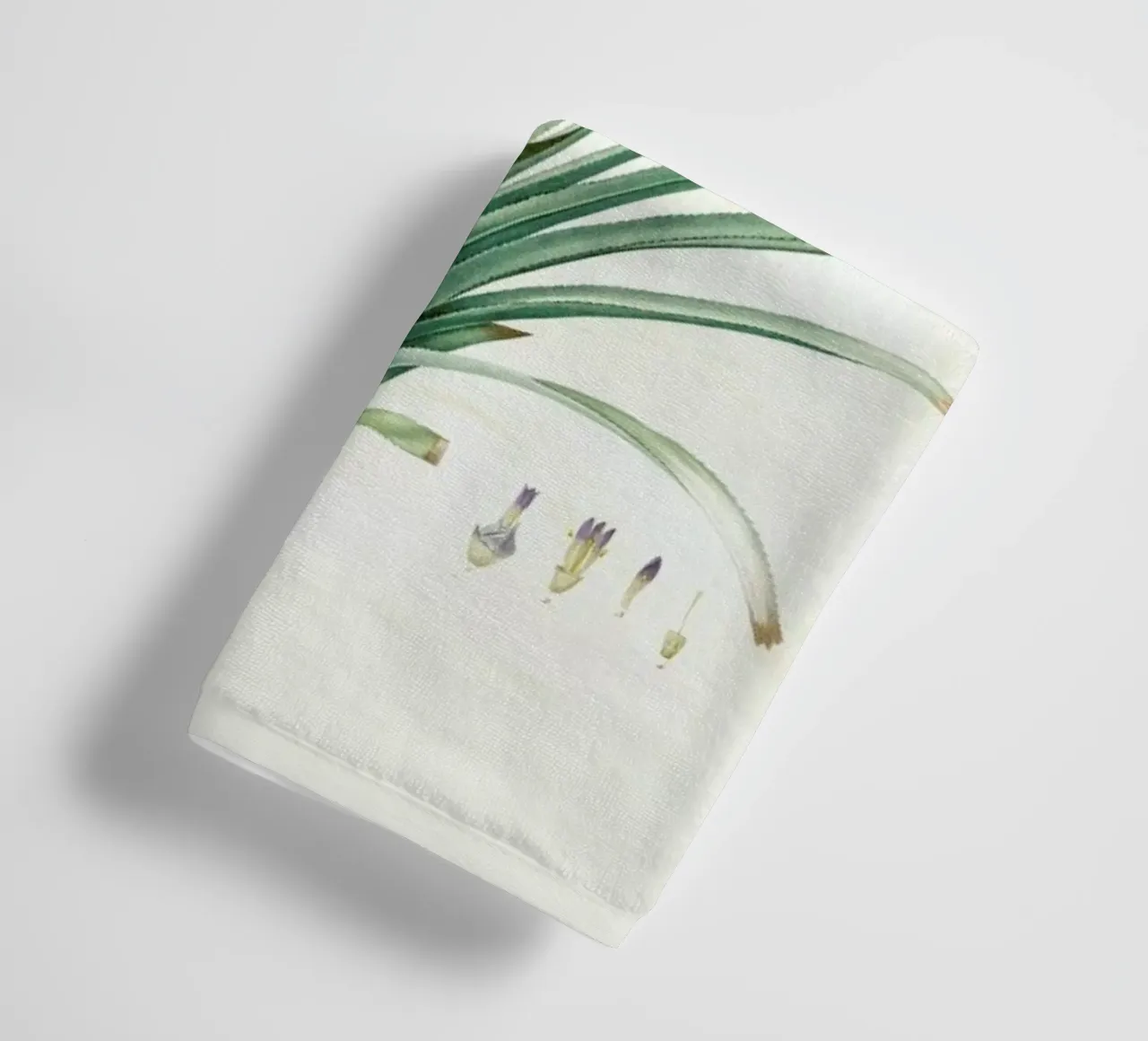 Bromella ananas, Ananas Sativus -Pierre Joseph, asciugamano da bagno da Artokoloro Quint Lox Ltd