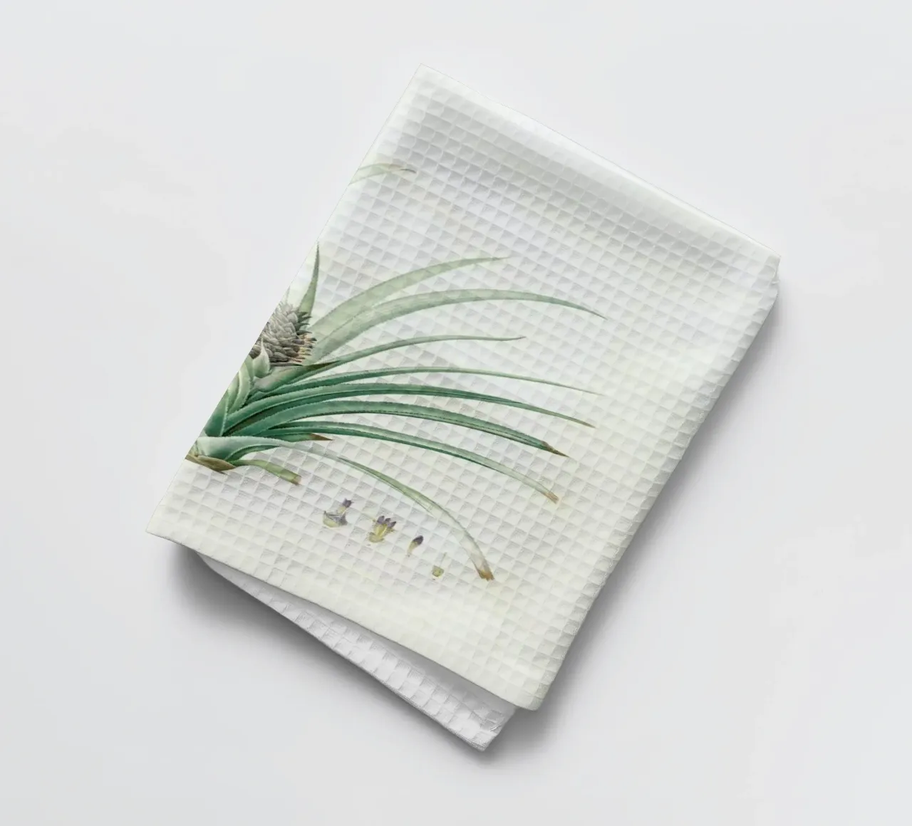Bromella ananas, Ananas Sativus -Pierre Joseph, canovaccio da cucina da Artokoloro Quint Lox Ltd