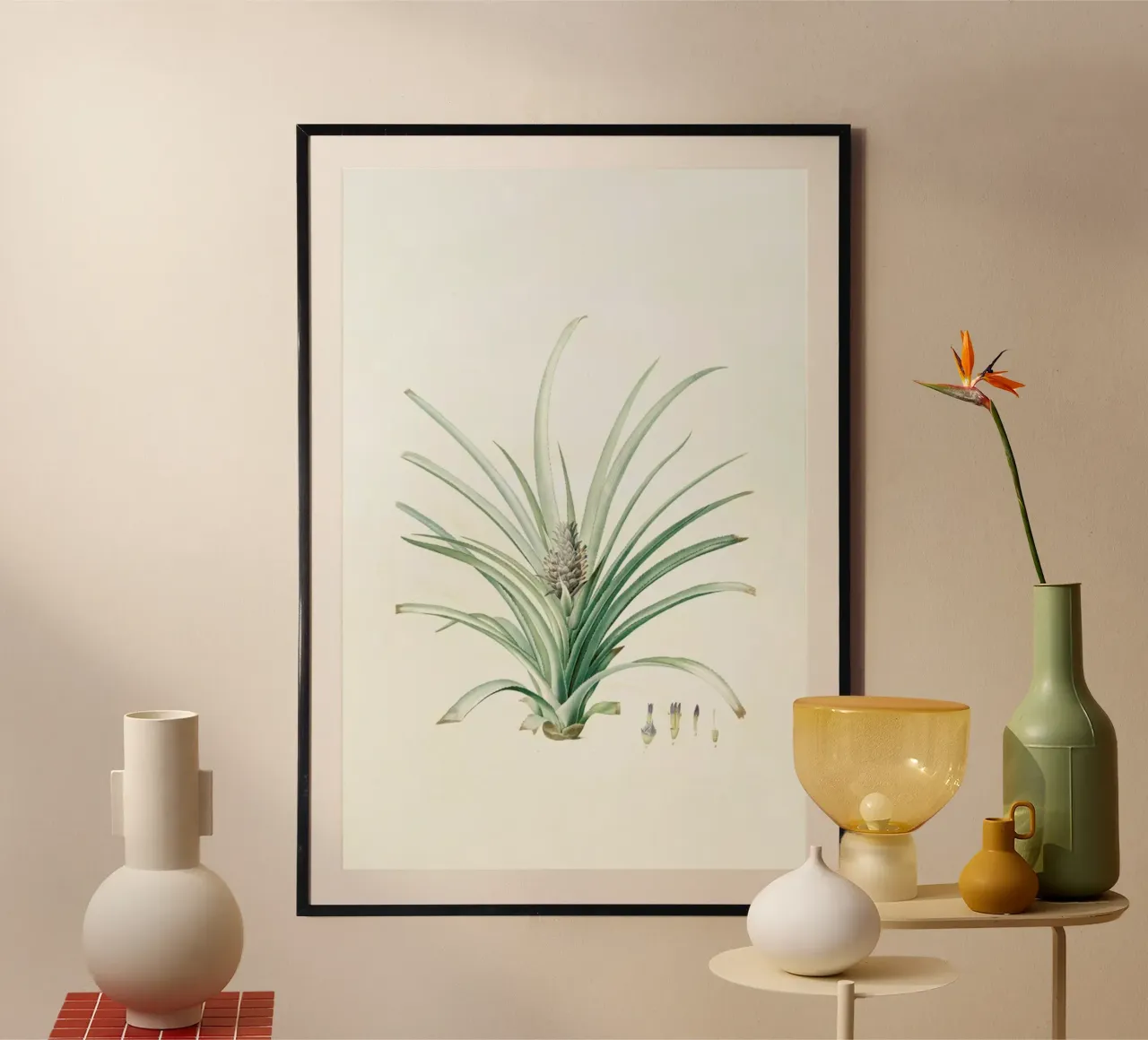 Bromella ananas, Ananas Sativus -Pierre Joseph, carta hahnemühle da Artokoloro Quint Lox Ltd