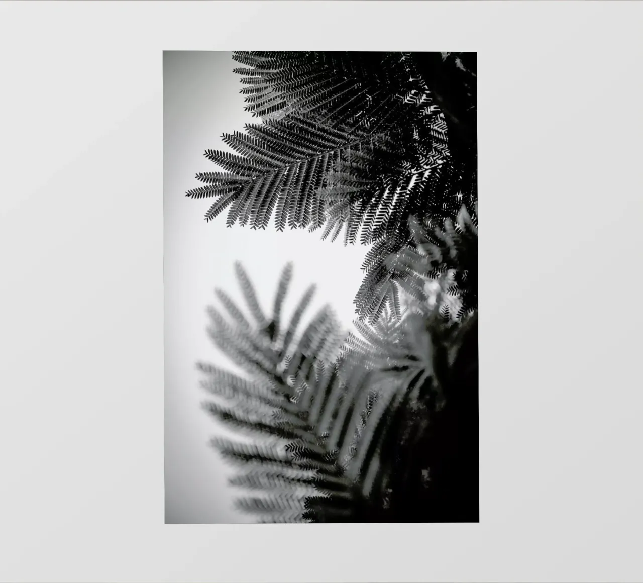 Natural Geometries V pellicola backlit da Tal Paz-Fridman