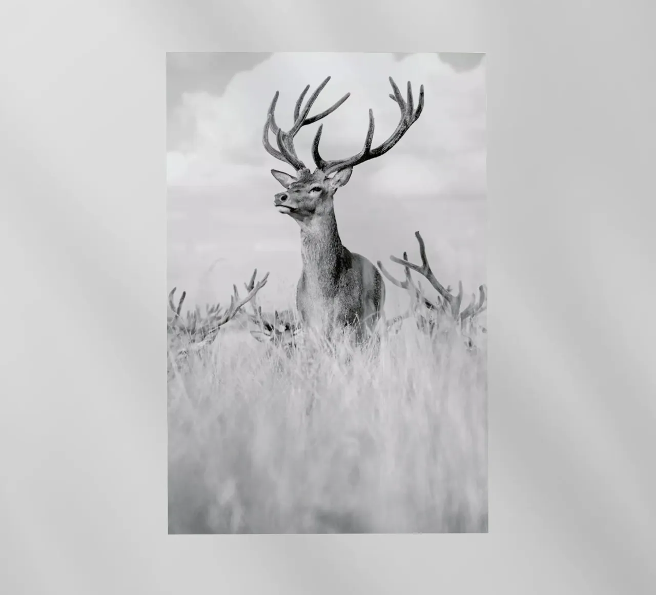 Stag Pride by Monika S. Jakubowska pellicola backlit da EyeEm Mobile GmbH