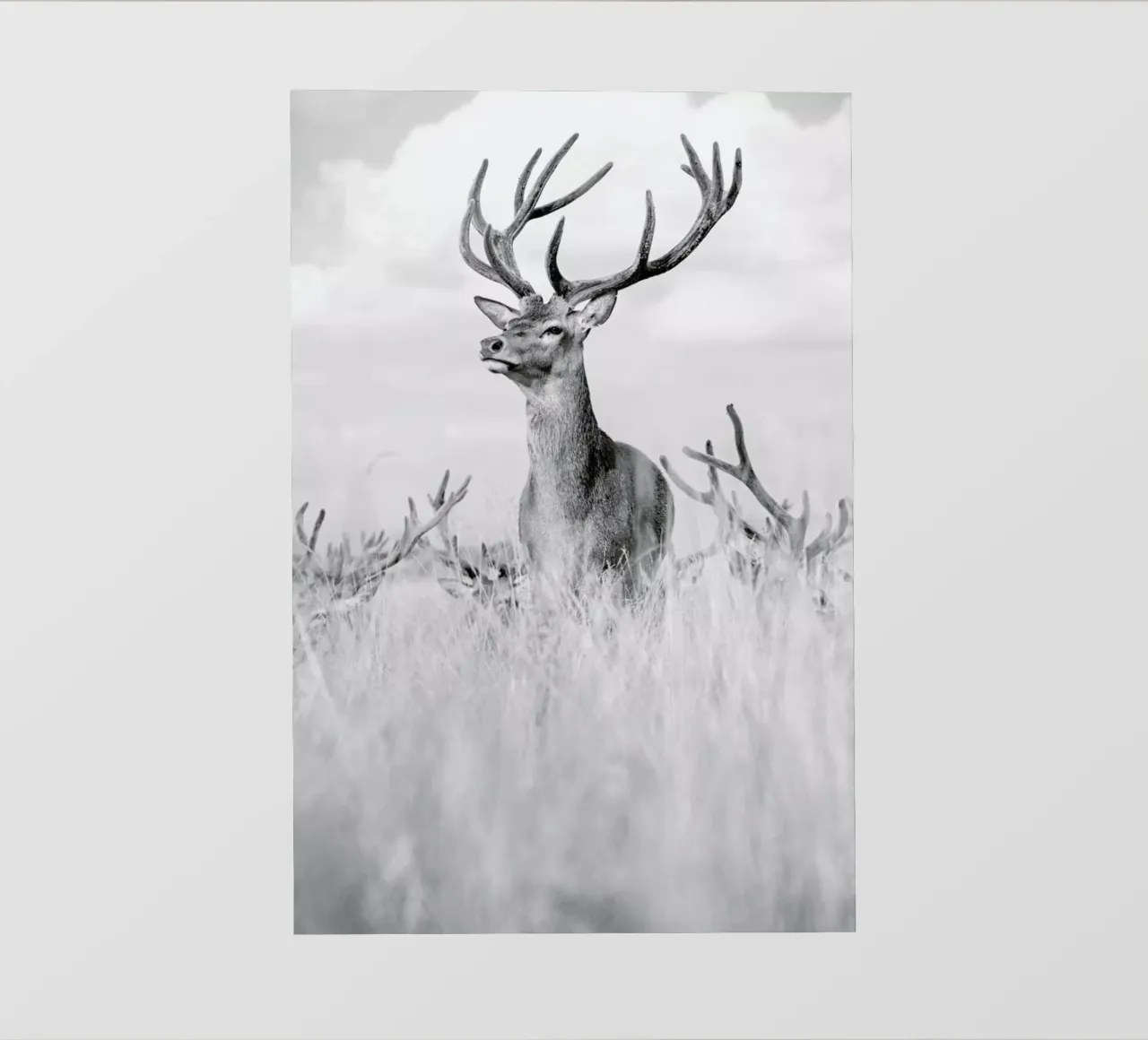 Stag Pride by Monika S. Jakubowska pellicola backlit da EyeEm Mobile GmbH