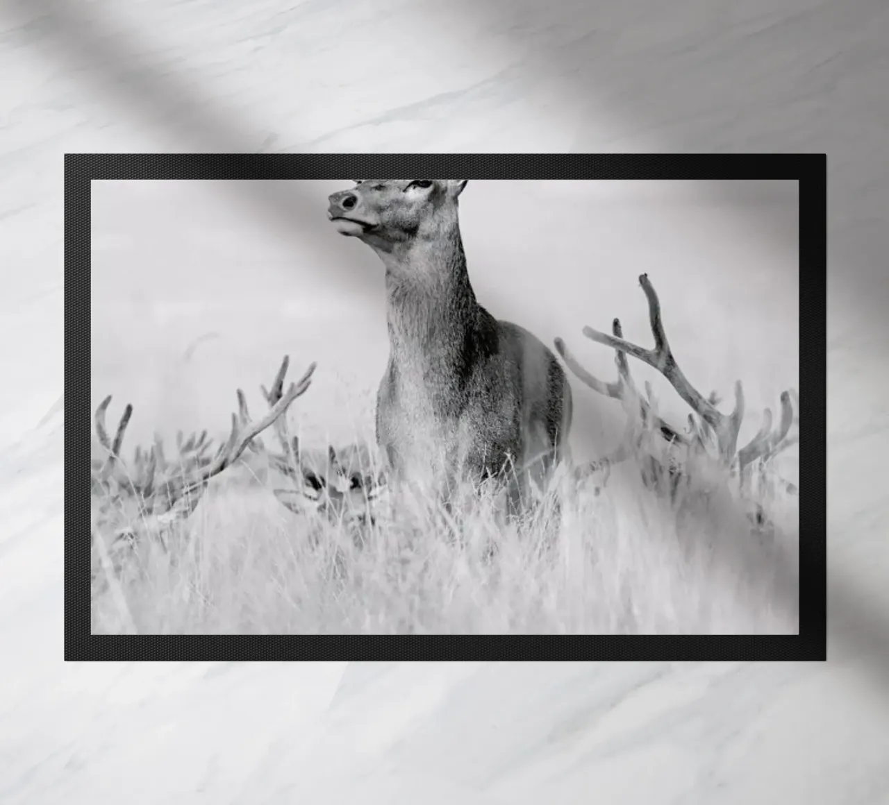 Stag Pride by Monika S. Jakubowska zerbino da EyeEm Mobile GmbH