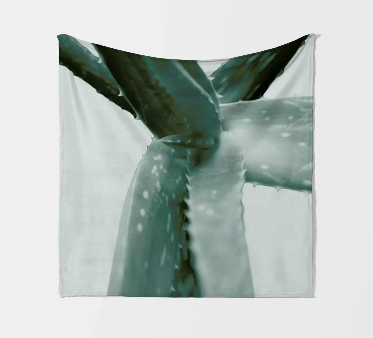 Agave coperta in pile da Elena Veronese
