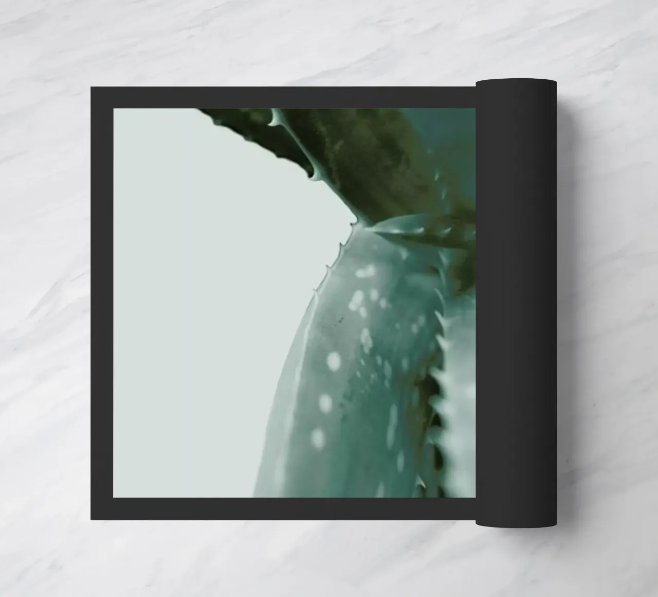 Agave doormat by Elena Veronese