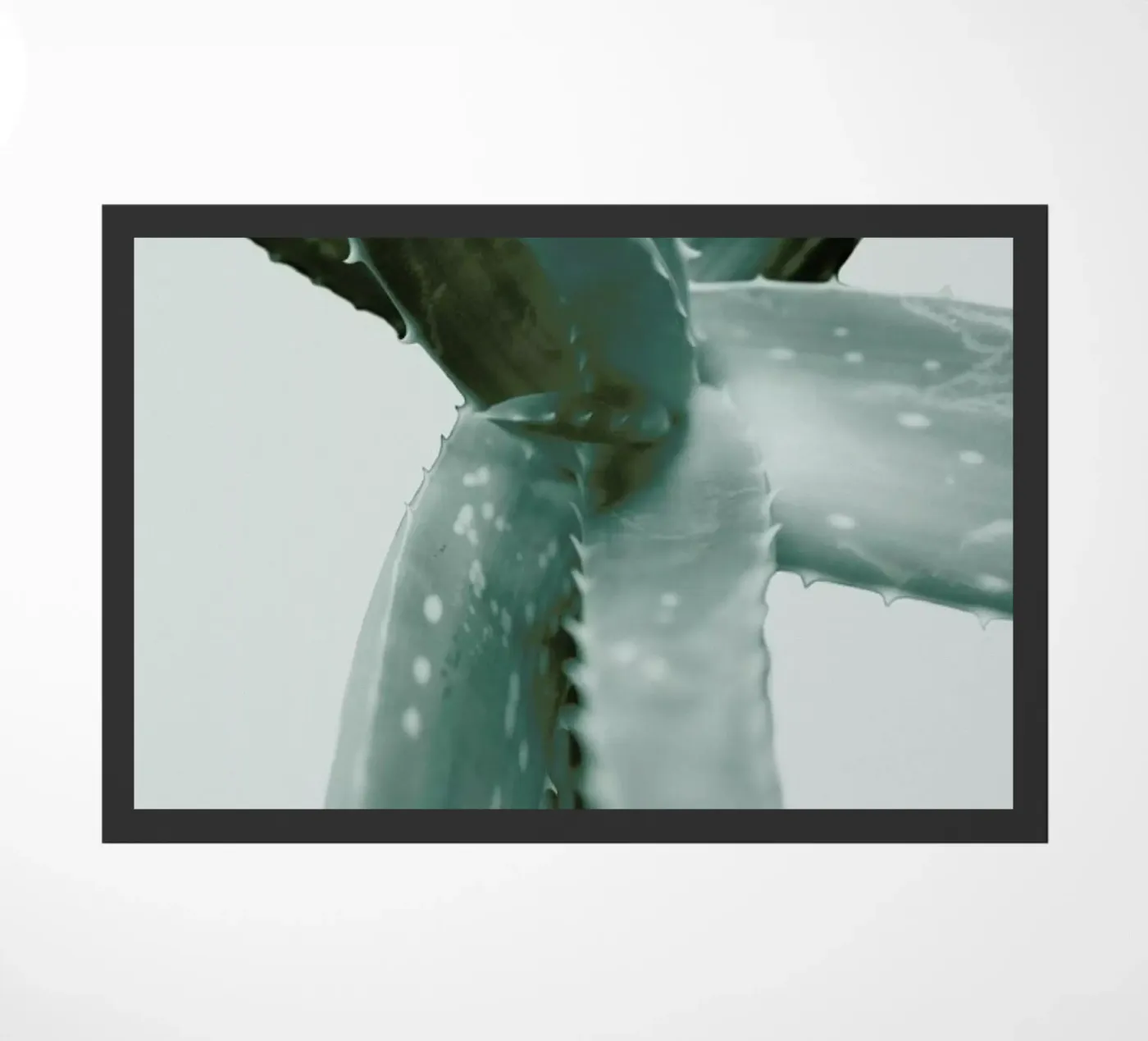 Agave deurmat van Elena Veronese