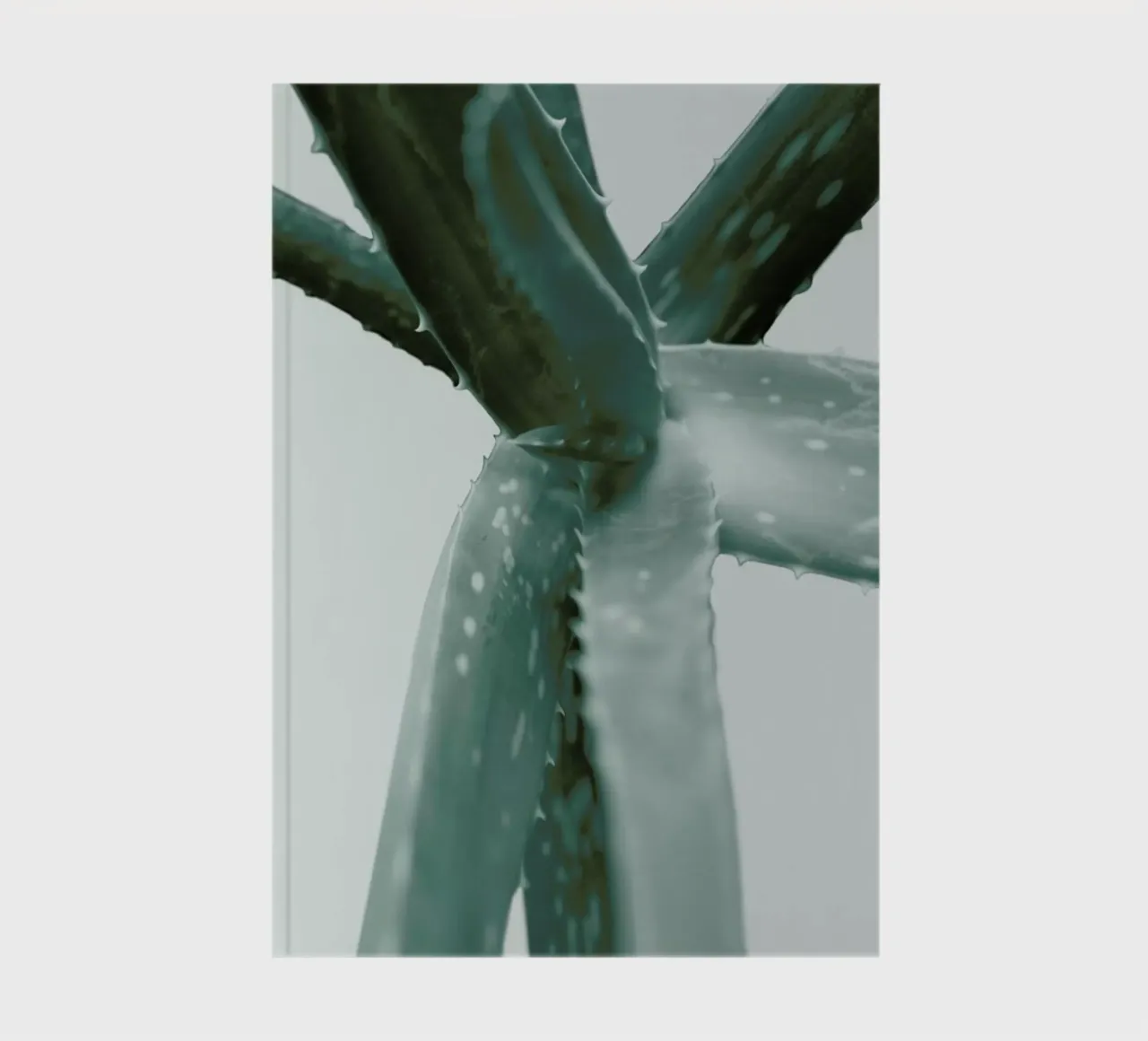 Agave notebook by Elena Veronese