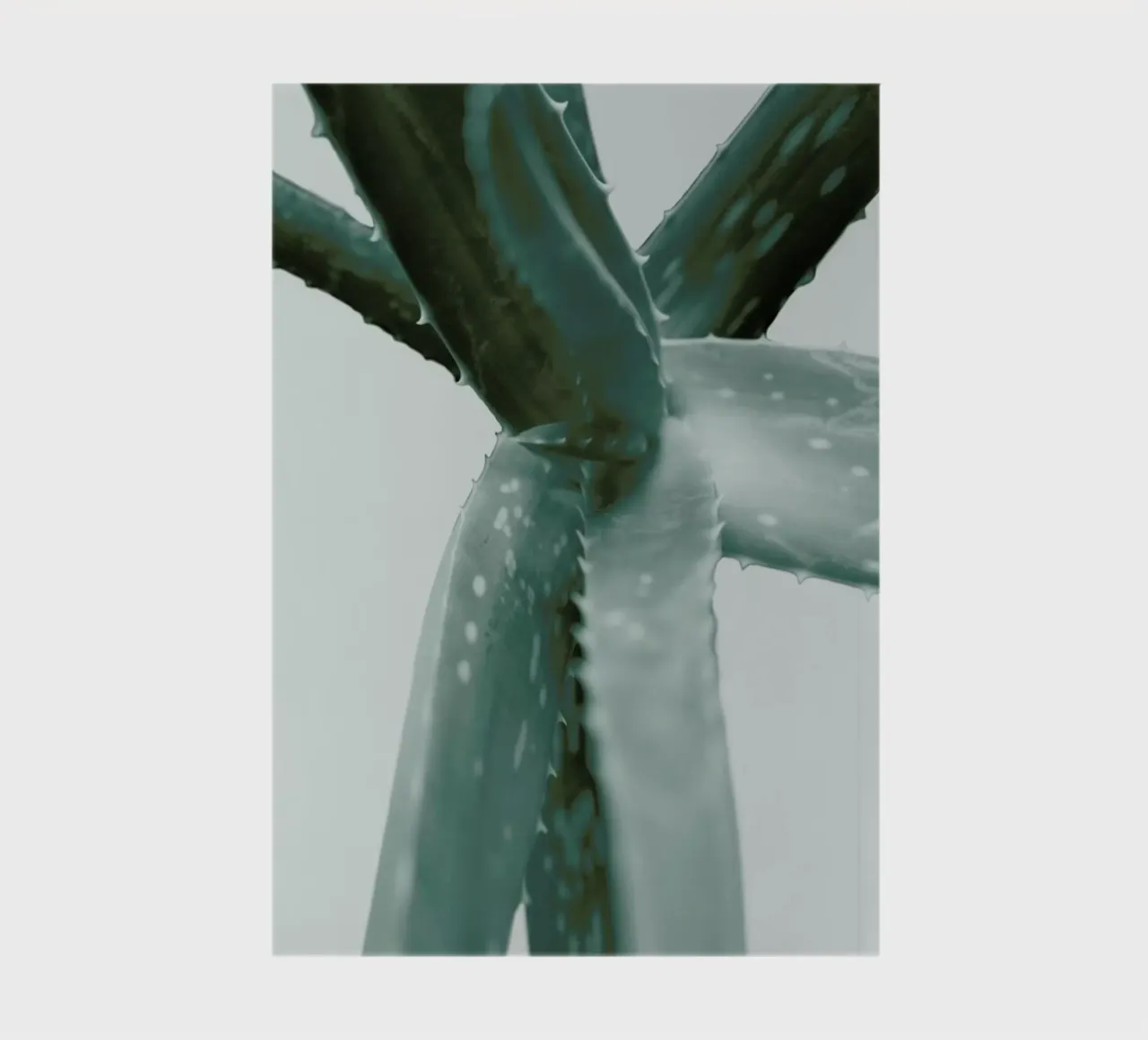 Agave notebook by Elena Veronese