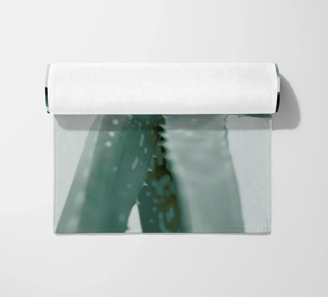 Agave telo mare da Elena Veronese