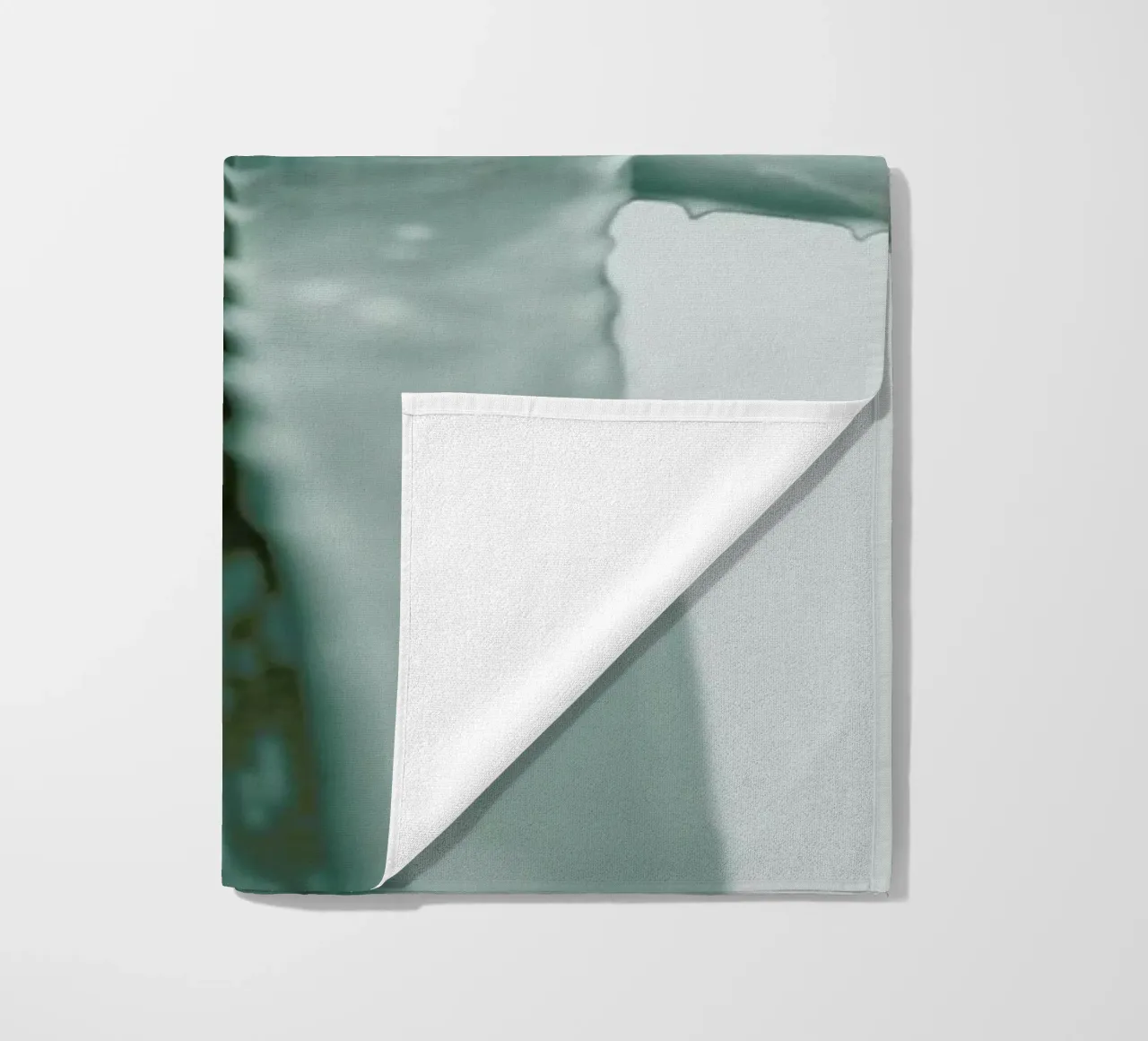 Agave telo mare da Elena Veronese