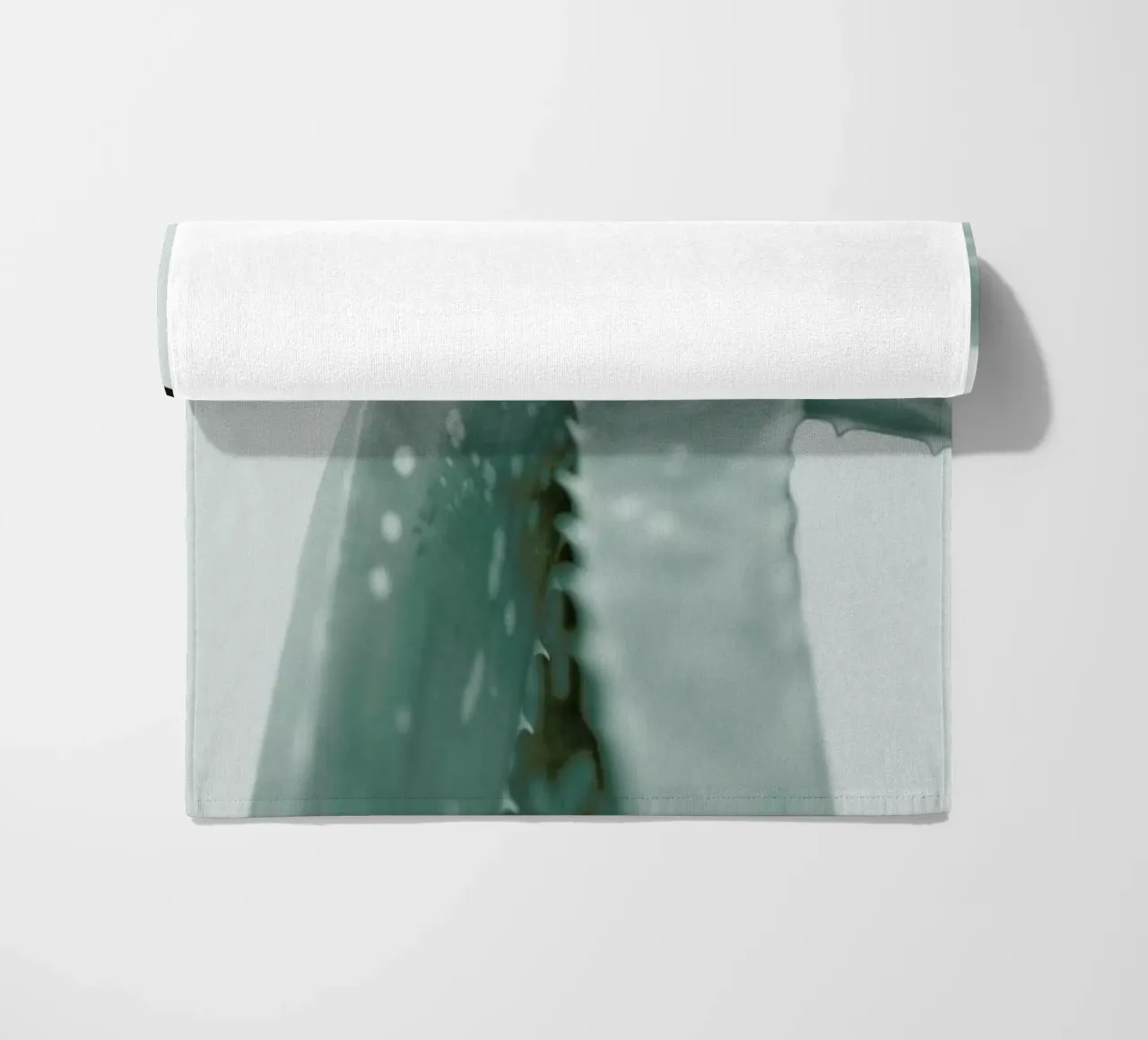 Agave telo mare da Elena Veronese