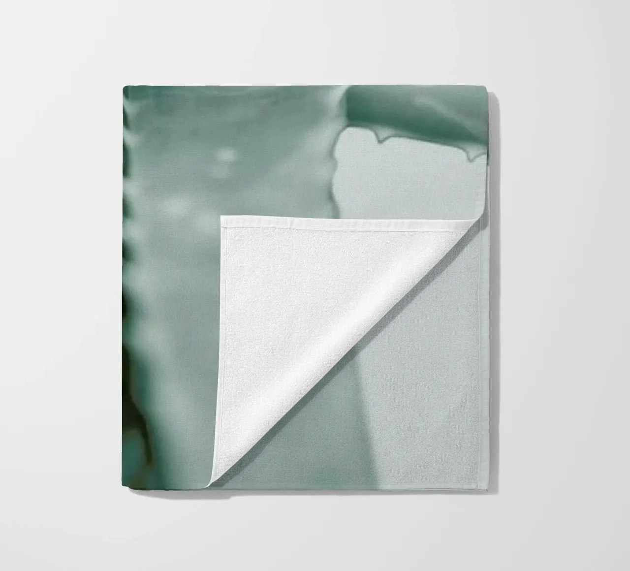 Agave telo mare da Elena Veronese