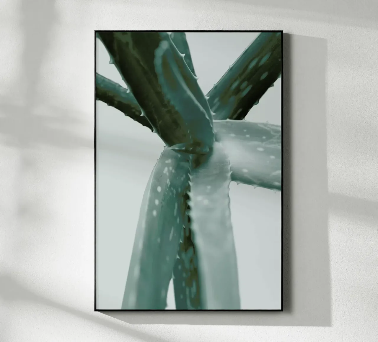 Agave plexiglass da Elena Veronese