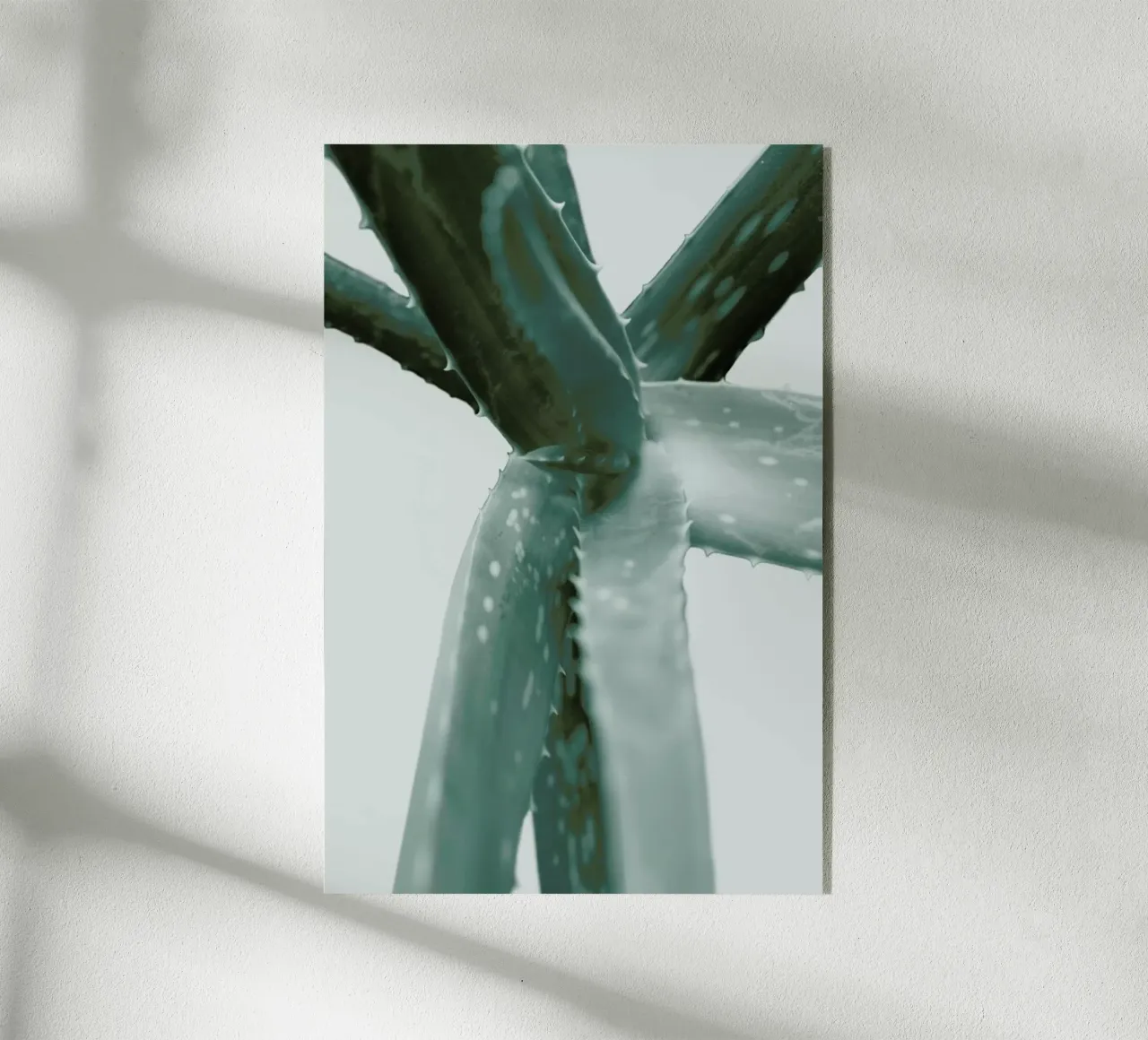 Agave plexiglass da Elena Veronese