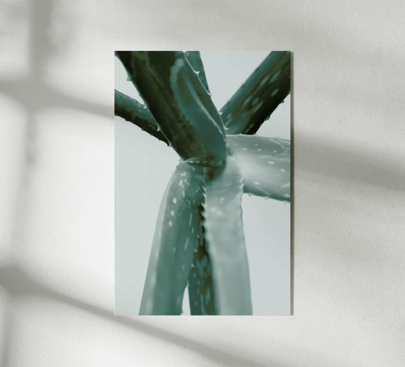 Agave acrylic glass by Elena Veronese